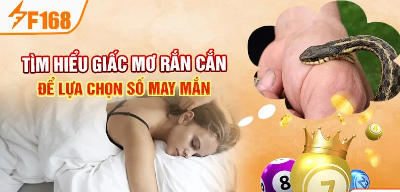Tìm hiểu giấc mơ rắn cắn để lựa chọn số may mắn