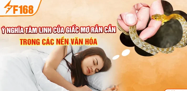 Ý nghĩa tâm linh của giấc mơ rắn cắn trong các nền văn hóa